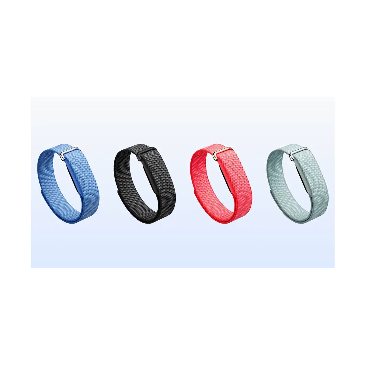 Google Fitbit Air
