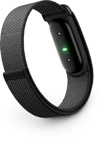 Google Fitbit Air