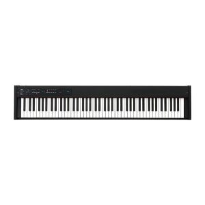 Korg D1