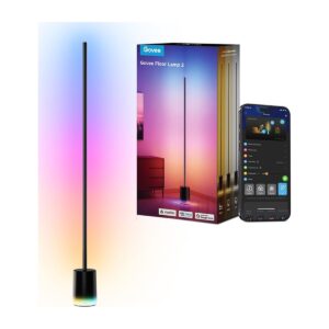 Govee Floor Lamp 2