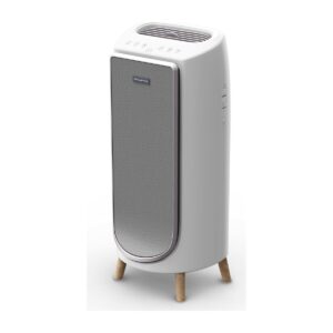 Rowenta Intense Pure Air PU6180