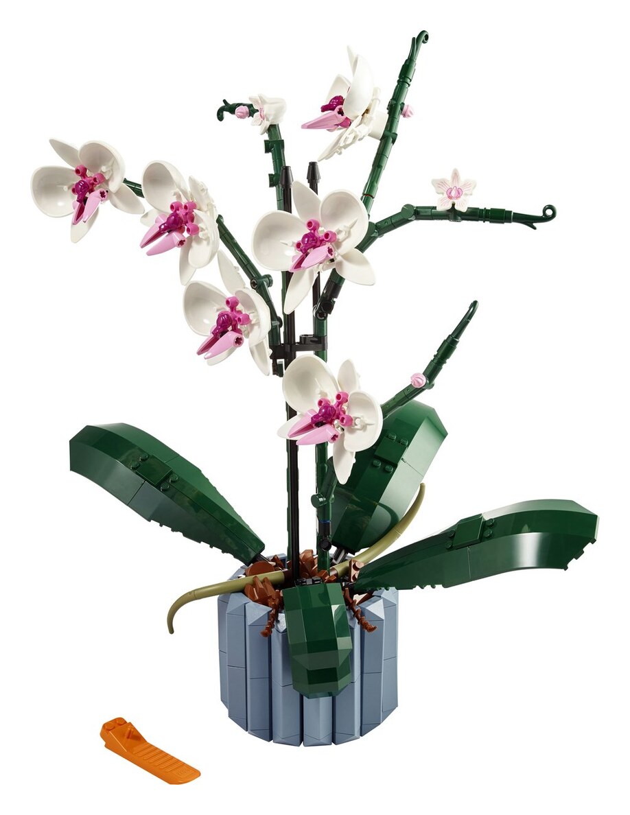 LEGO Botanicals Orchidee