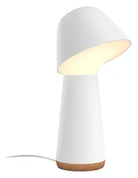 Philips Hue Twilight Sleep & Wake-Up Light