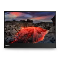 Lenovo ThinkVision M14t Gen2